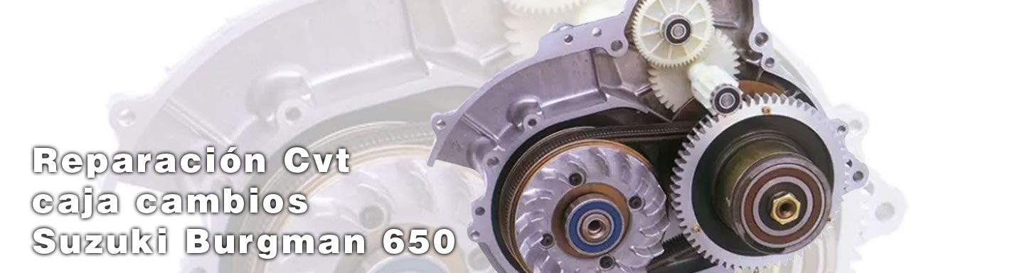 Reparación Transmisión Continua Variable Burgman